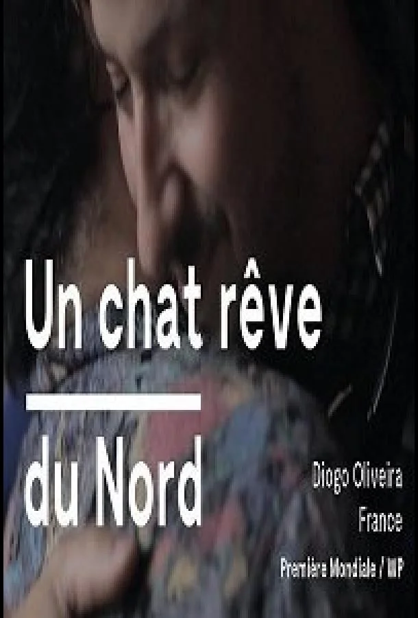 Кот, мечтающий о севере Фильм2020смотреть онлайн бесплатно